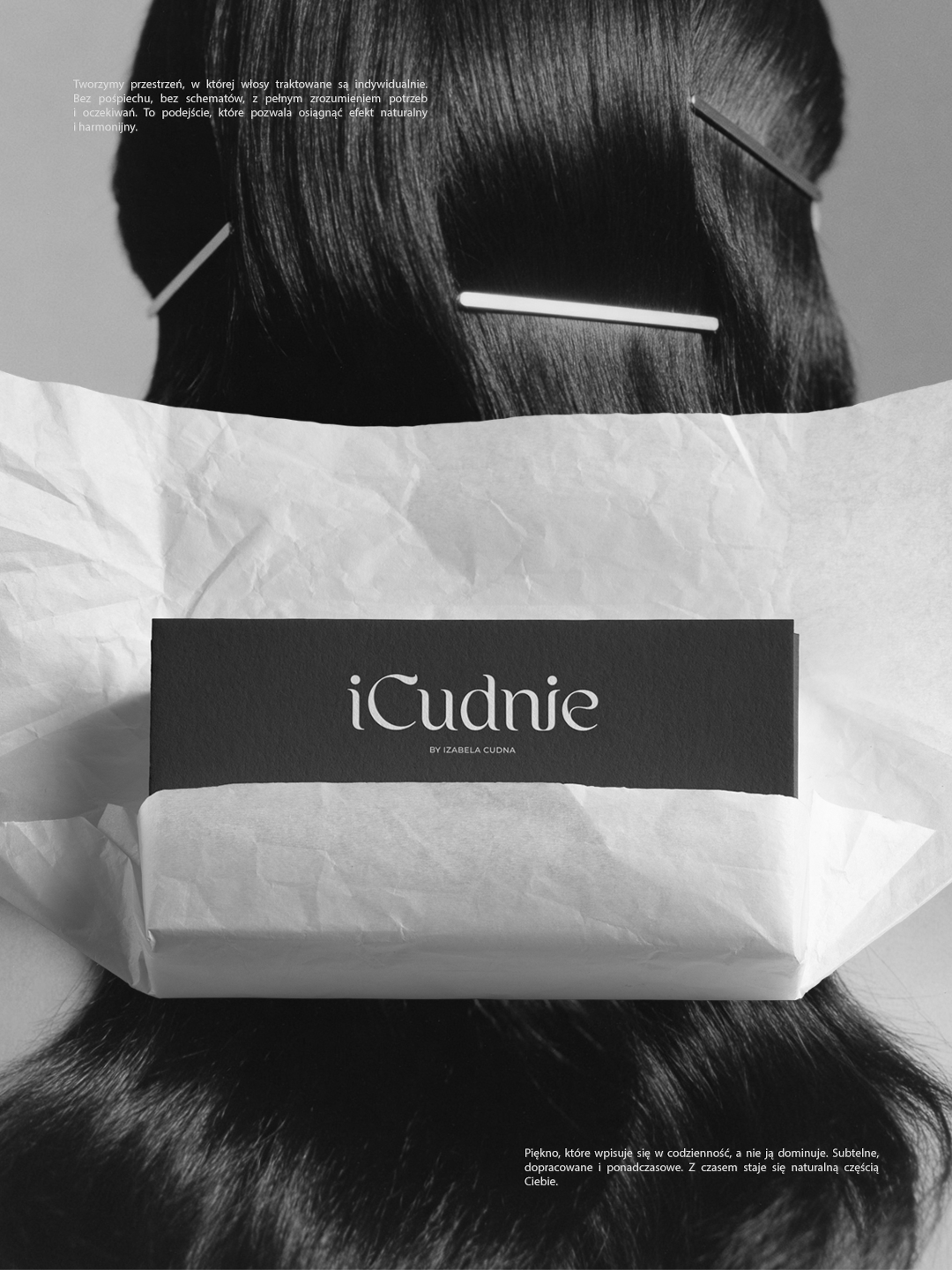 Projekt icudnie